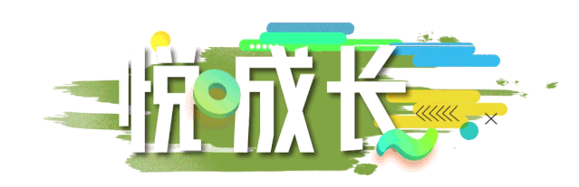 新澳门全年免费原料网
