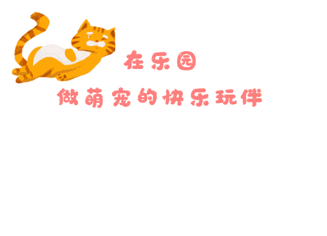 新澳门全年免费原料网