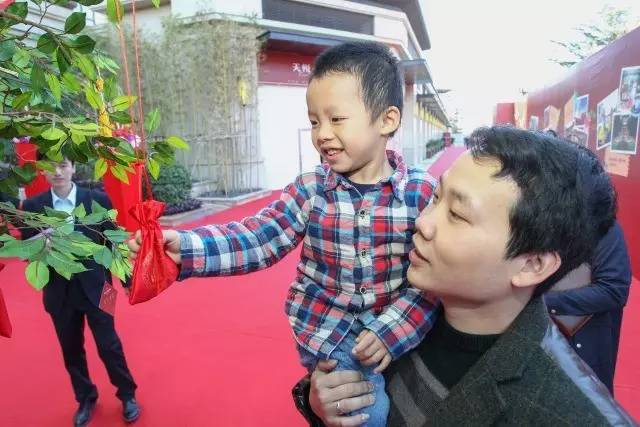 新澳门全年免费原料网