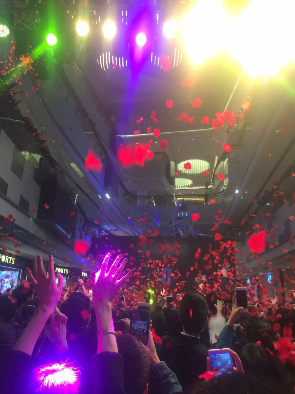新澳门全年免费原料网