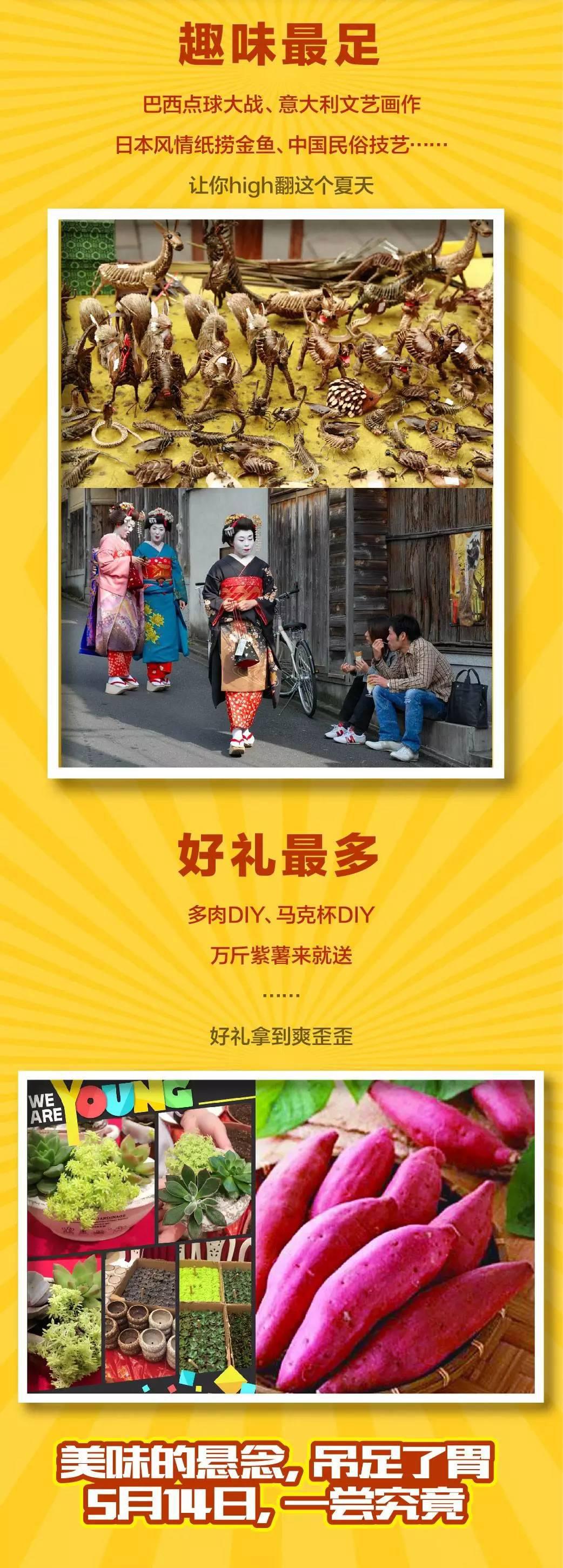 新澳门全年免费原料网