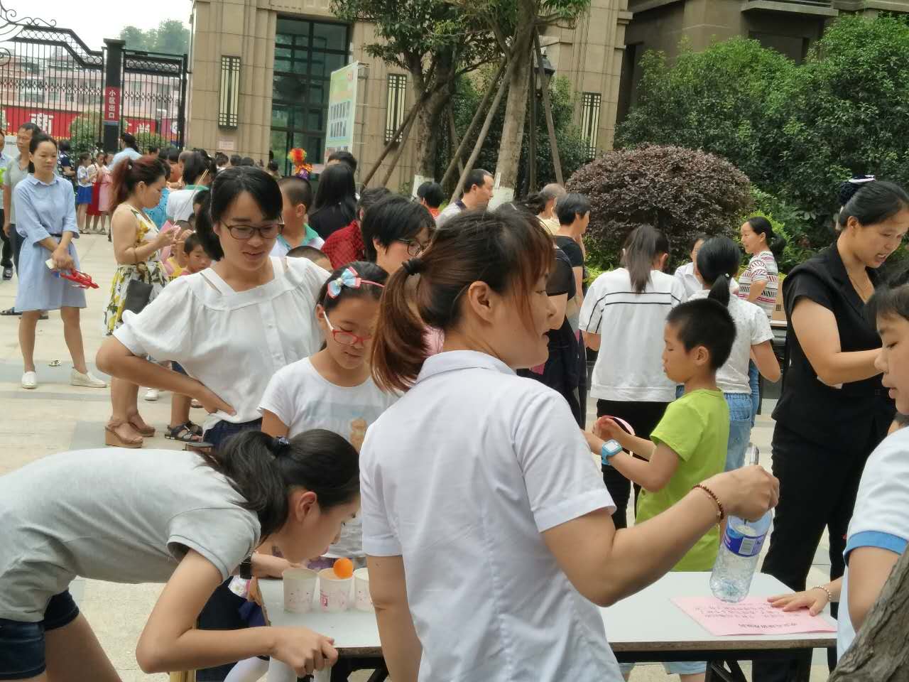 新澳门全年免费原料网