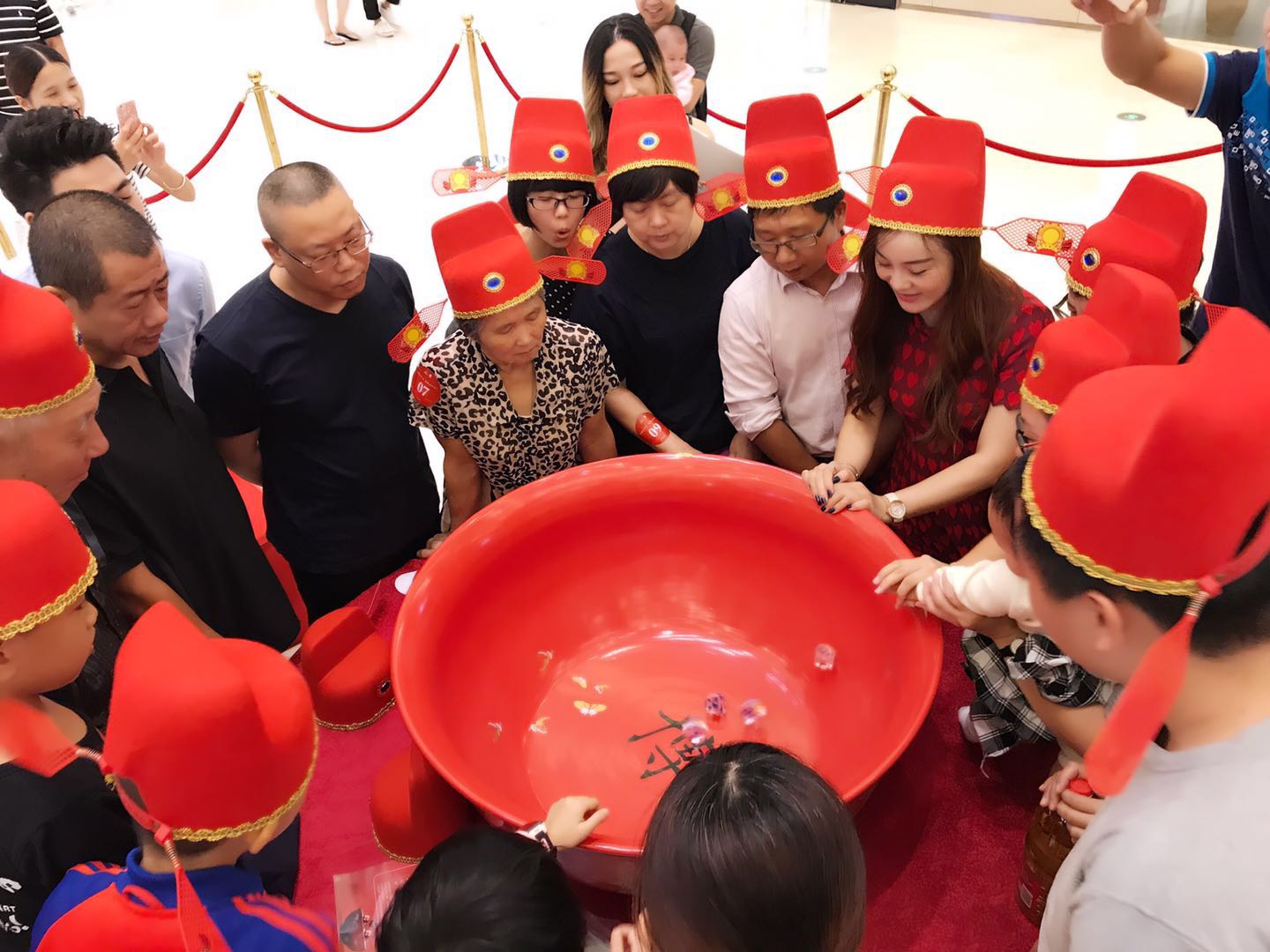 新澳门全年免费原料网