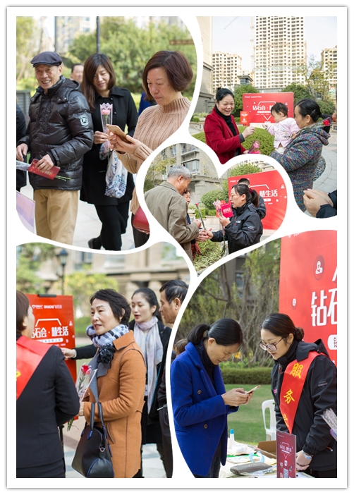 新澳门全年免费原料网