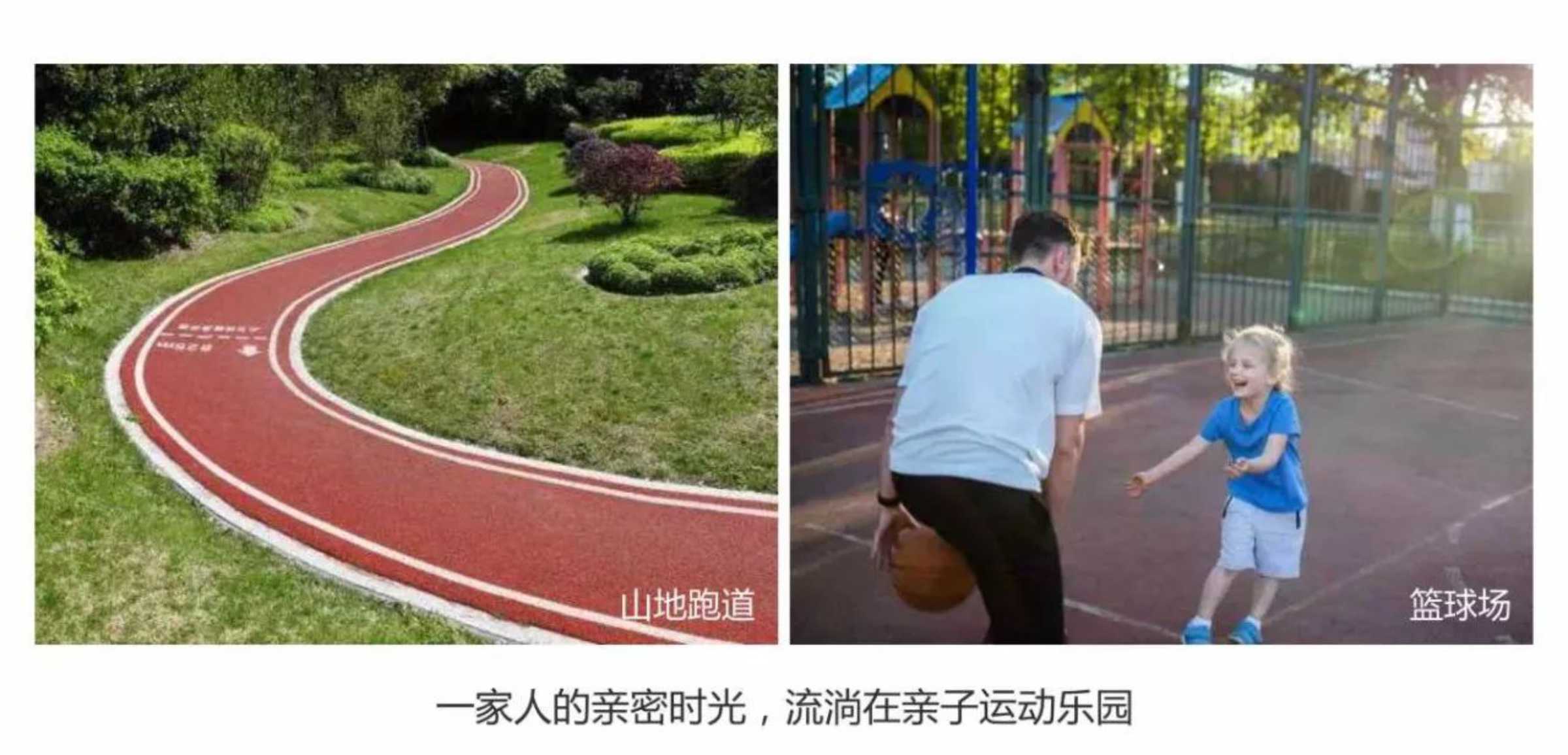 新澳门全年免费原料网