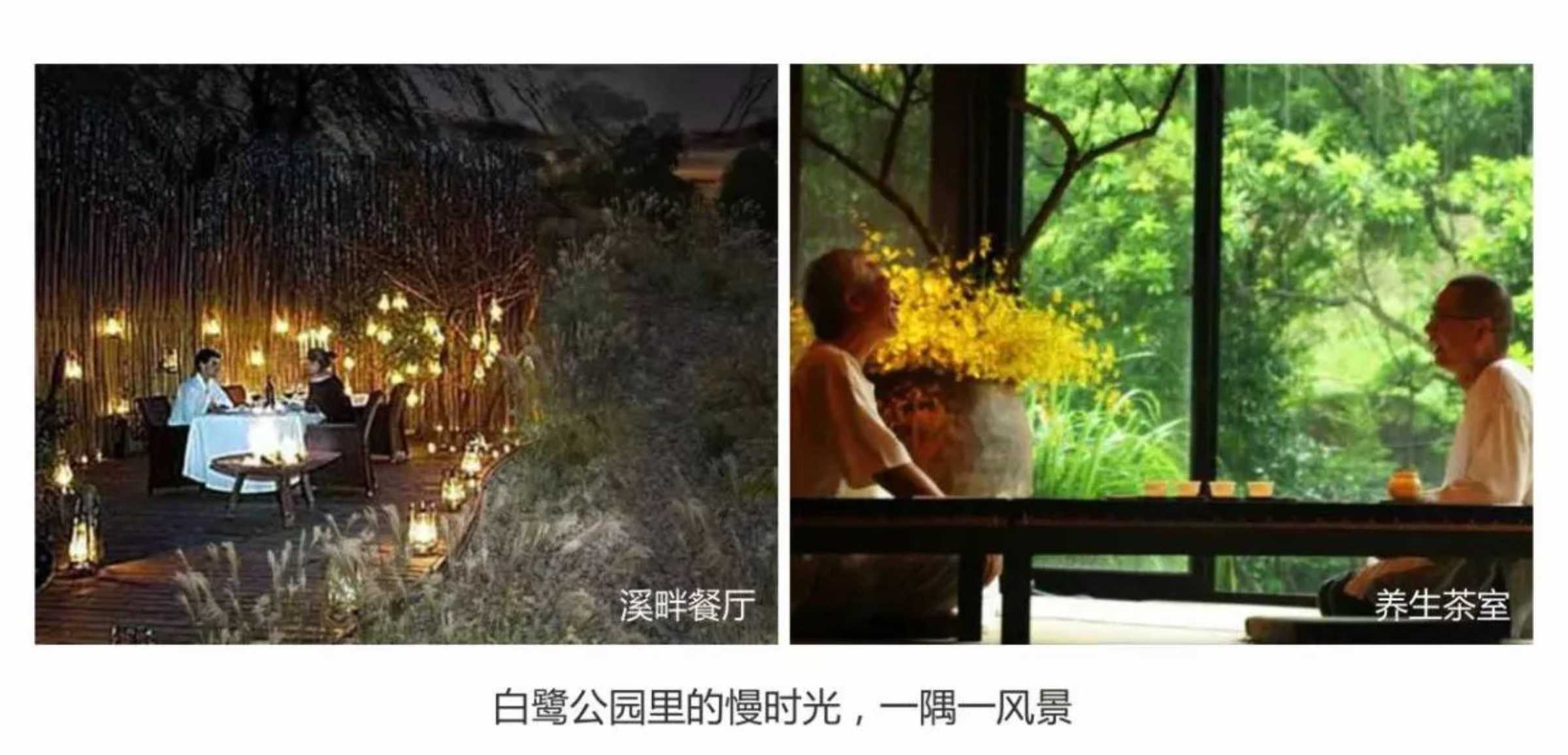 新澳门全年免费原料网