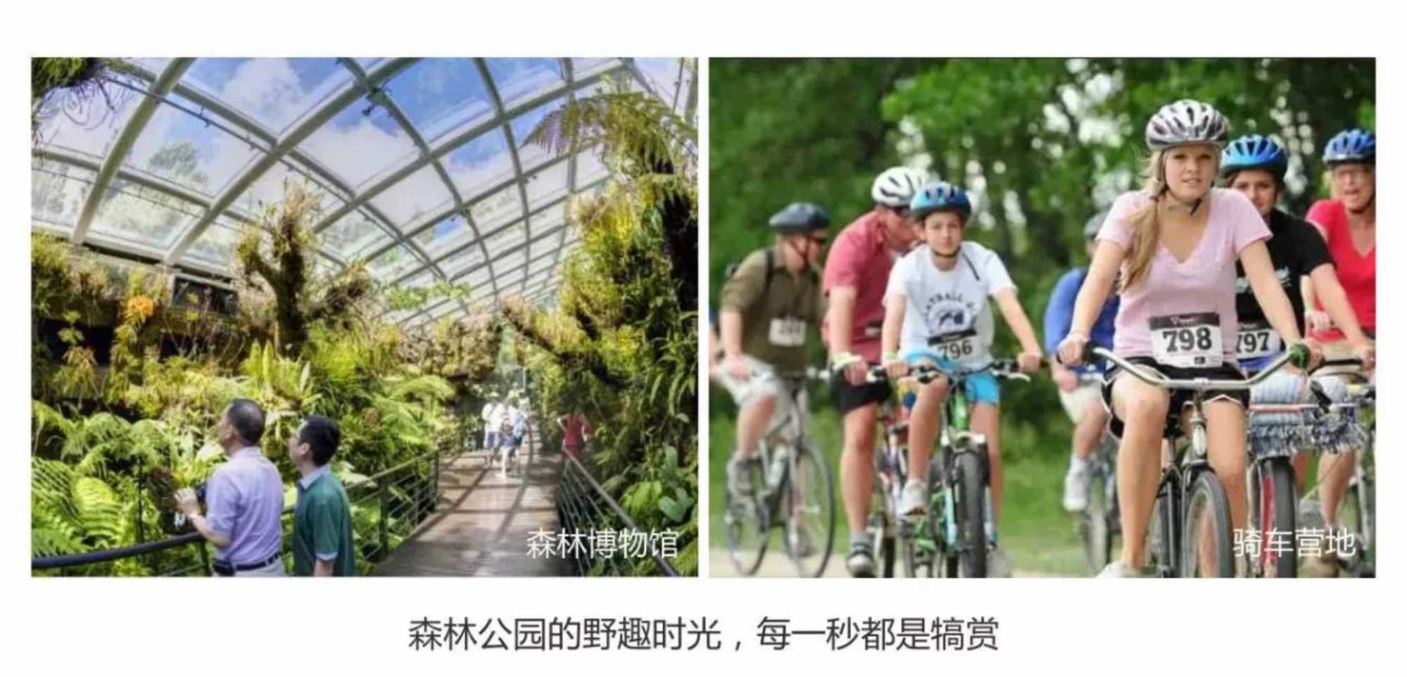 新澳门全年免费原料网