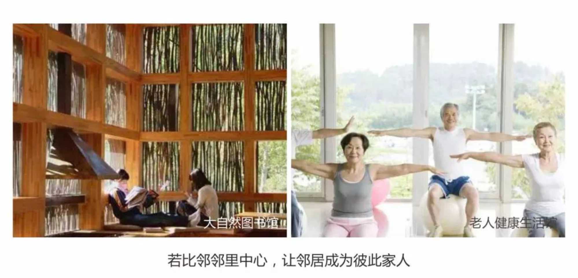 新澳门全年免费原料网