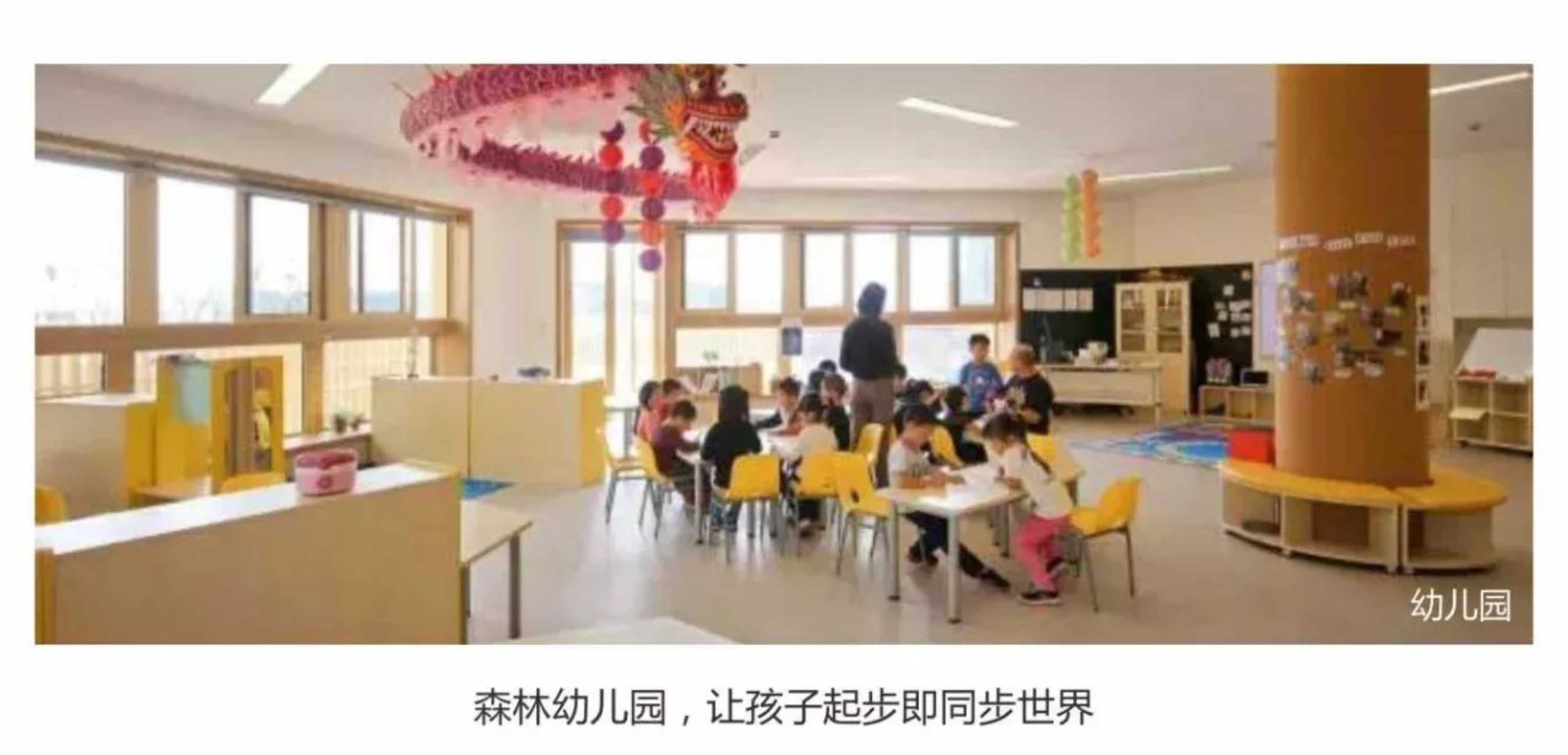 新澳门全年免费原料网