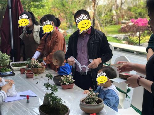 新澳门全年免费原料网