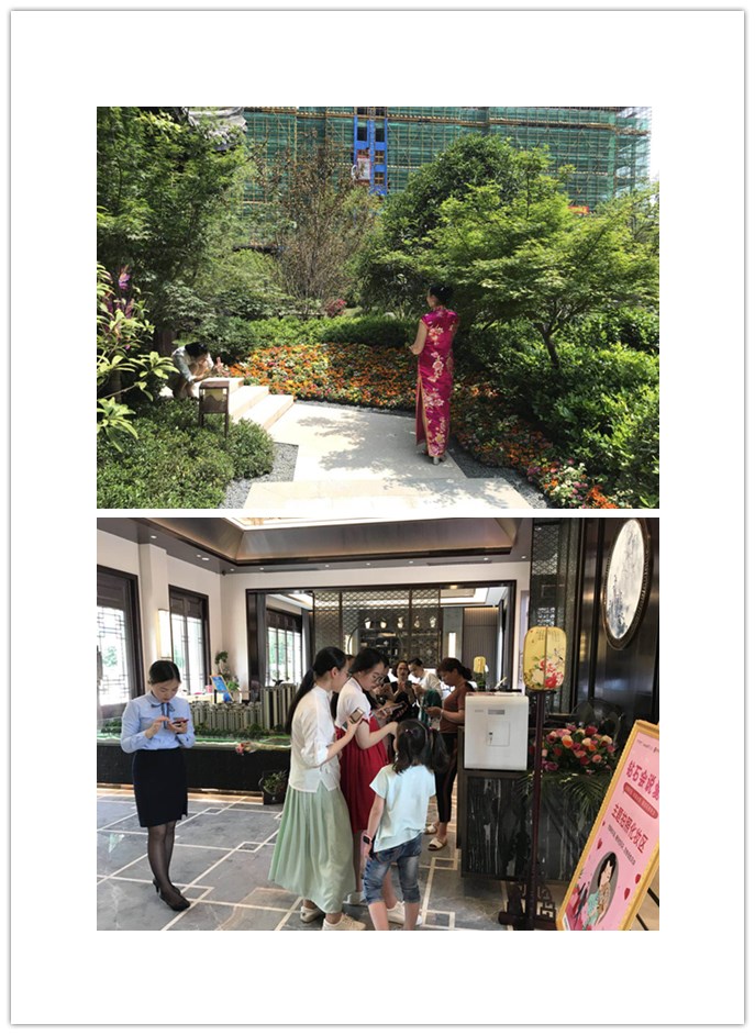 新澳门全年免费原料网
