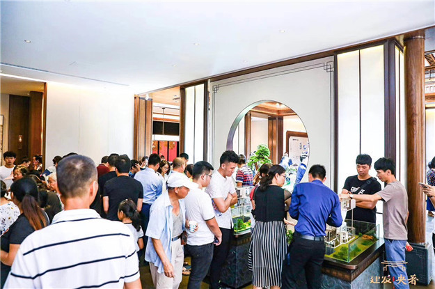 新澳门全年免费原料网