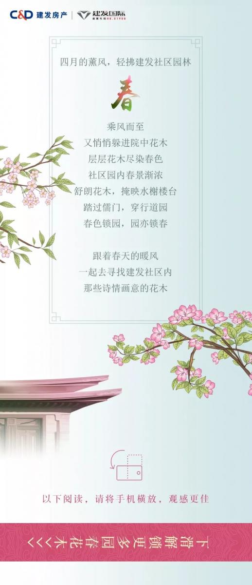 新澳门全年免费原料网