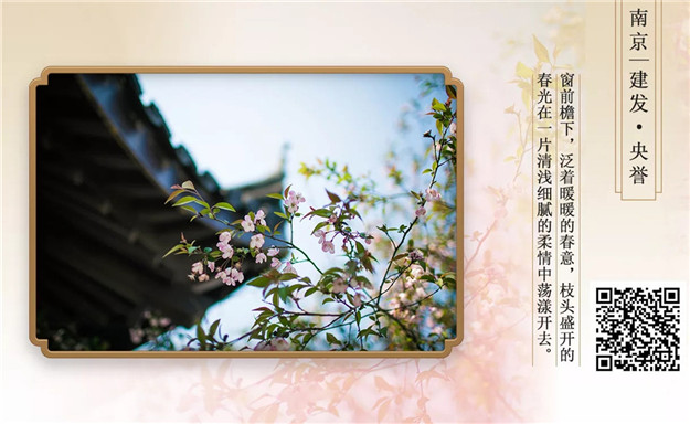 新澳门全年免费原料网