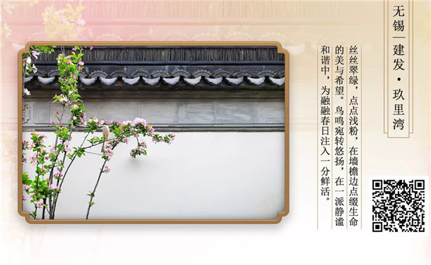 新澳门全年免费原料网