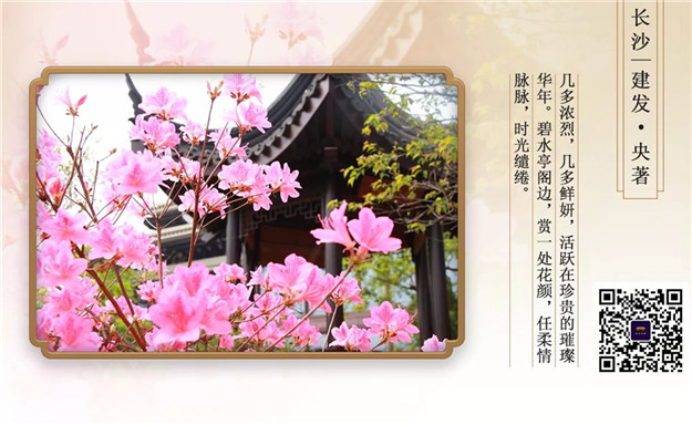 新澳门全年免费原料网