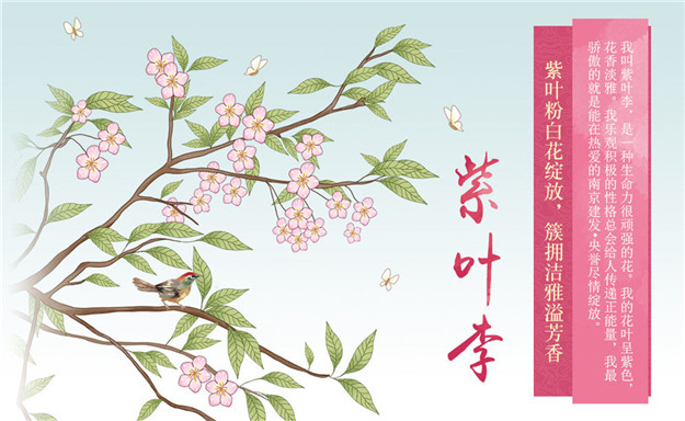 新澳门全年免费原料网