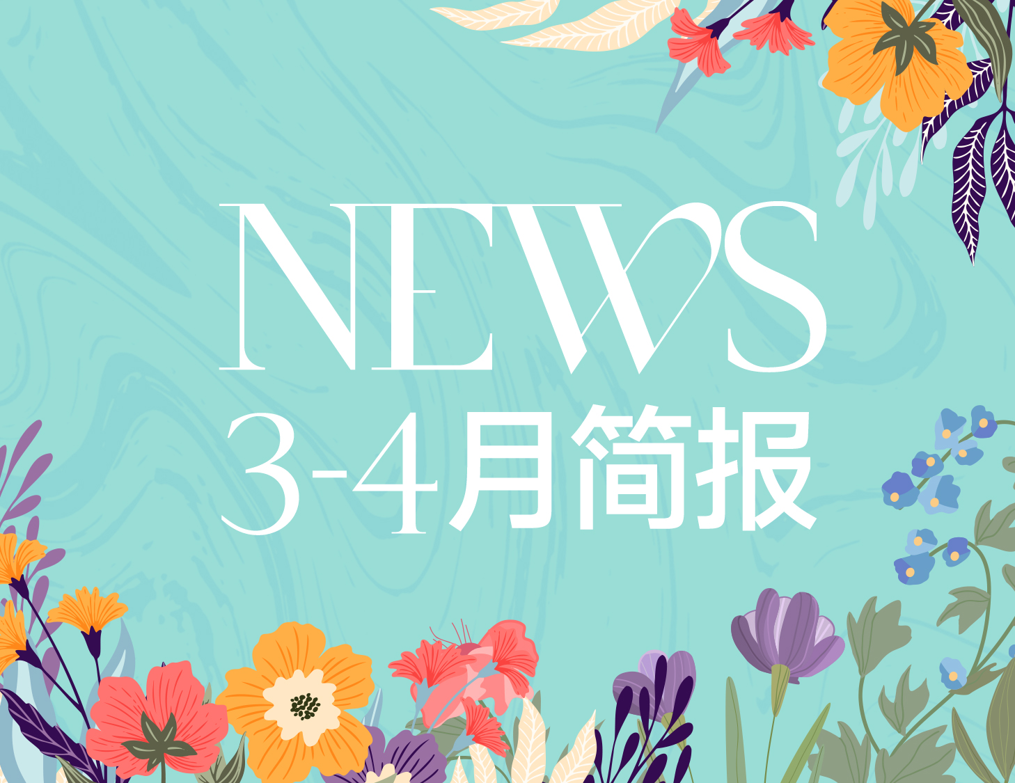 新澳门全年免费原料网｜3-4月简报